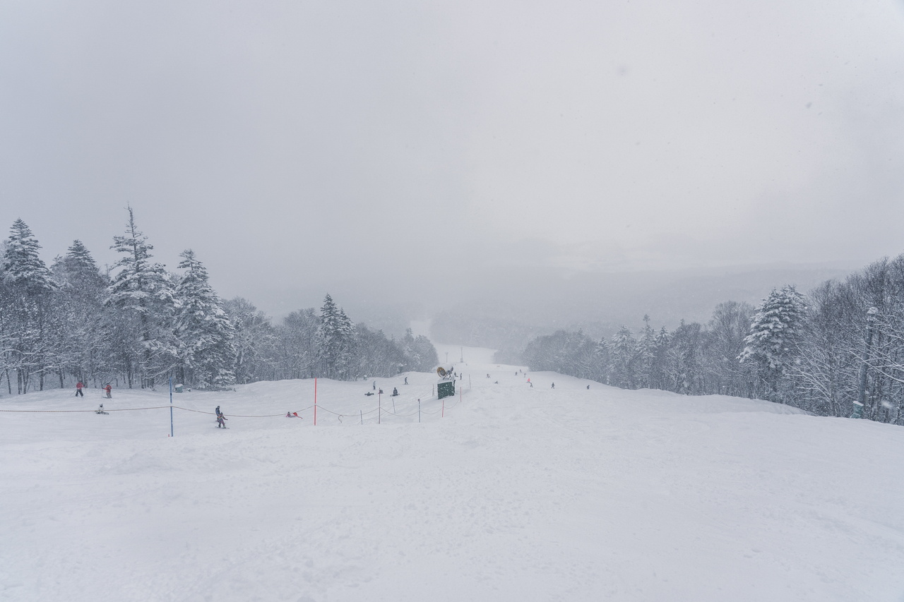 富良野スキー場｜数字以上に良い雪たっぷり！いよいよ『bonchi powder』本領発揮の季節到来です！